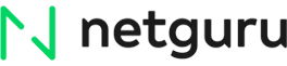 Team O'clock partners: Netguro logo